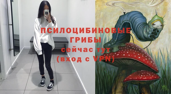 амф Богородицк