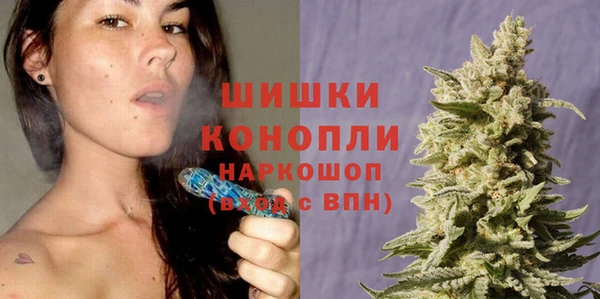 амф Богородицк