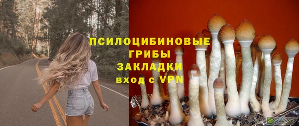 амф Богородицк
